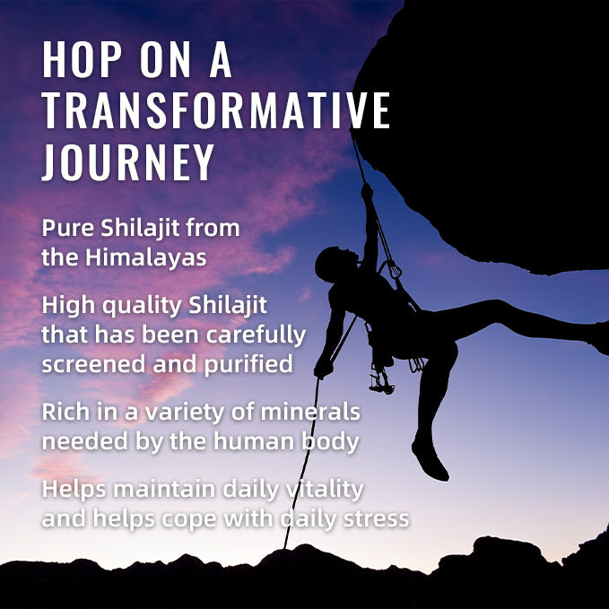 BSYS SHILAJIT GUMMIBÄRCHEN 60ER